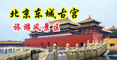 美女插逼免费电影免费中国北京-东城古宫旅游风景区